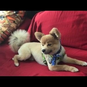 Meet your Posher, Trina